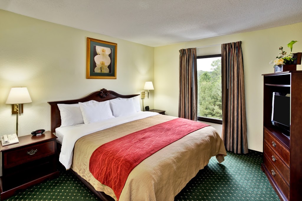 Comfort Inn Chester - Richmond South | 2100 W Hundred Rd, Chester, VA 23836, USA | Phone: (804) 823-8698