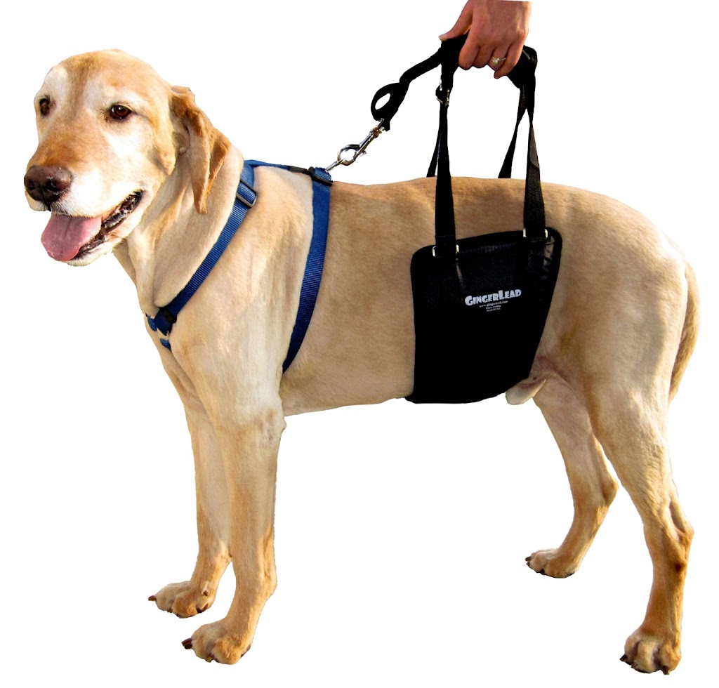 GingerLead Dog Support Sling Harnesses | 2255 Sheridan Blvd, Unit C, #178, Edgewater, CO 80214 | Phone: (303) 482-2074