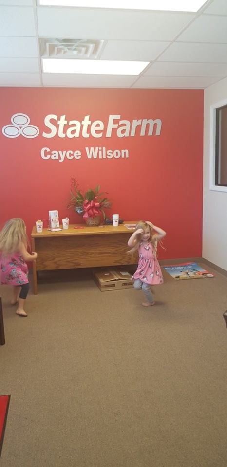 Cayce Wilson - State Farm Insurance Agent | 13260 US-411 Ste 400, Odenville, AL 35120, USA | Phone: (205) 629-0327