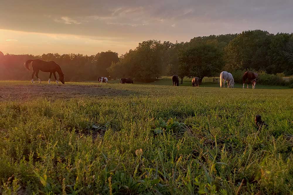 Christian Childrens Home of Ohio | 2685 Armstrong Rd, Wooster, OH 44691, USA | Phone: (330) 345-7949