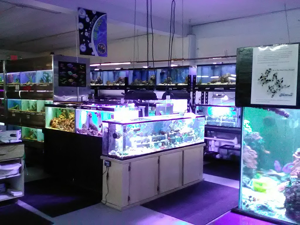 Fish Aquariums & Stuff | 6112 W Fairview Ave, Boise, ID 83704, USA | Phone: (208) 377-1119