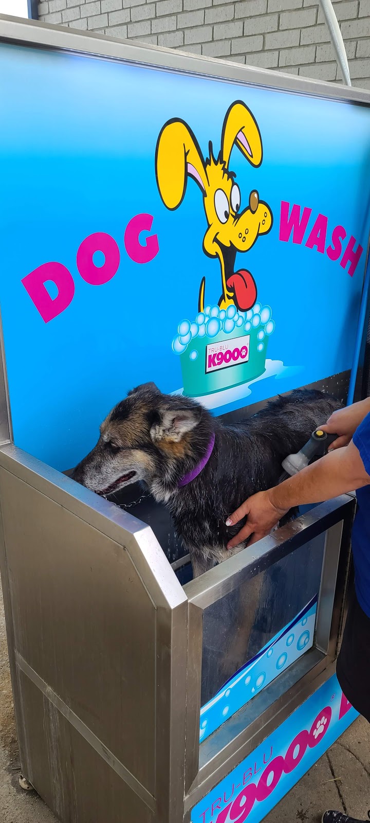 Warrior Car Wash and Dog Wash | 14091 S Ironwood St, Glenpool, OK 74033, USA | Phone: (918) 698-3849