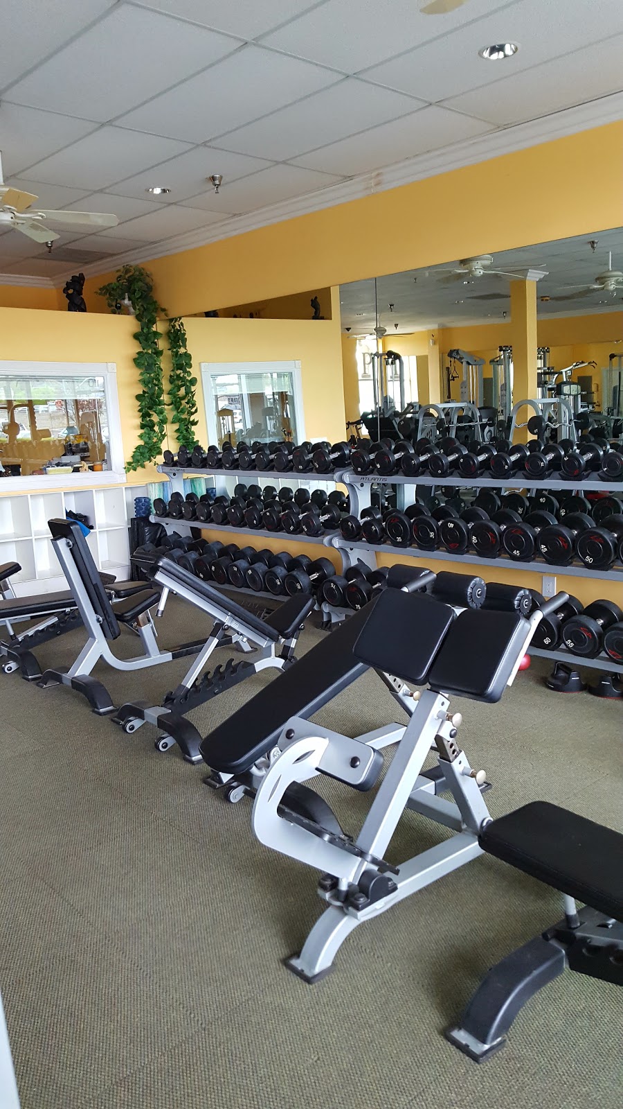 Palestra | 34085 CA-1 UNIT 110, Dana Point, CA 92629, USA | Phone: (949) 248-1800