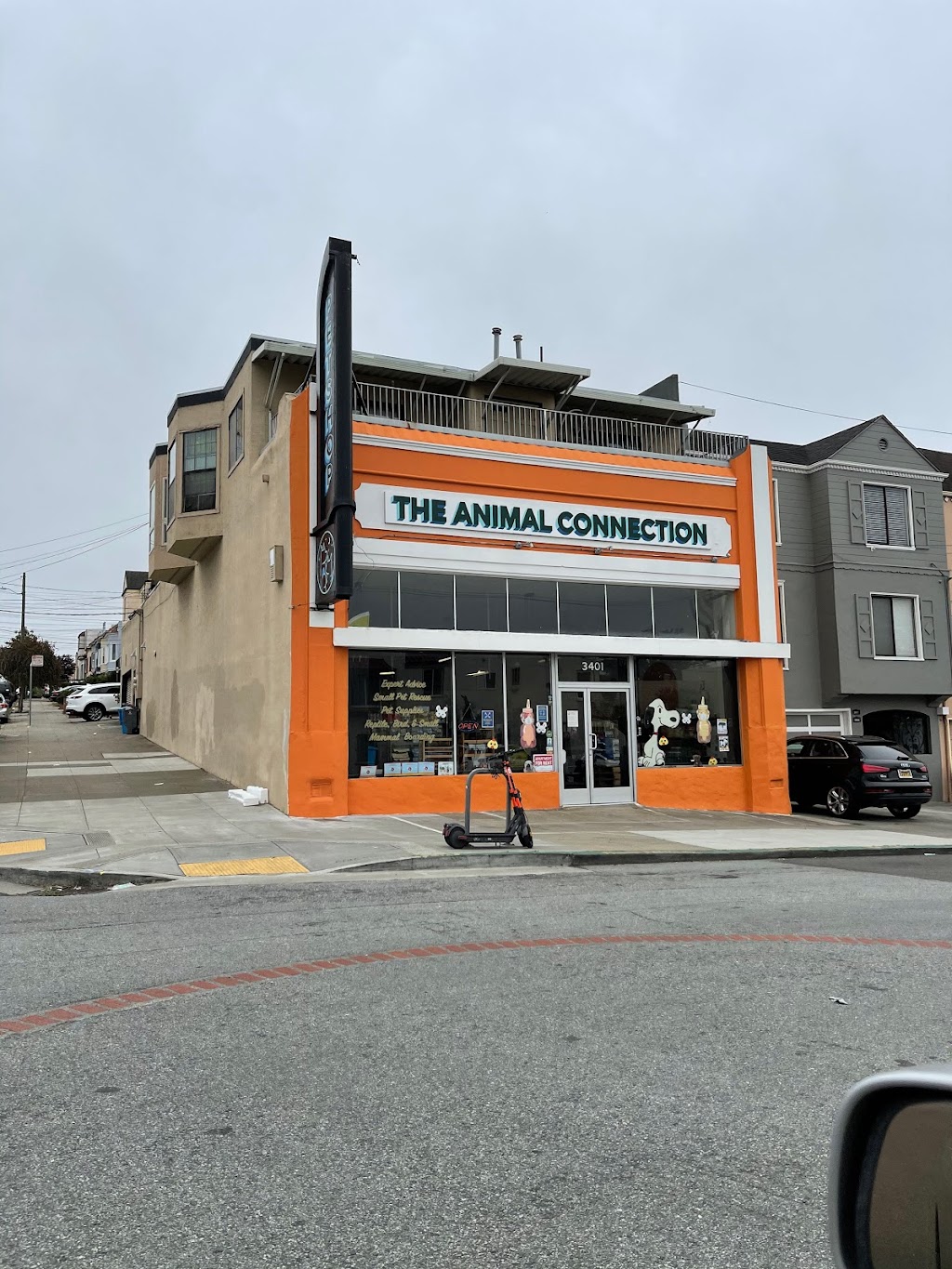 The Animal Connection | 3401 Irving St, San Francisco, CA 94122, USA | Phone: (415) 564-6482