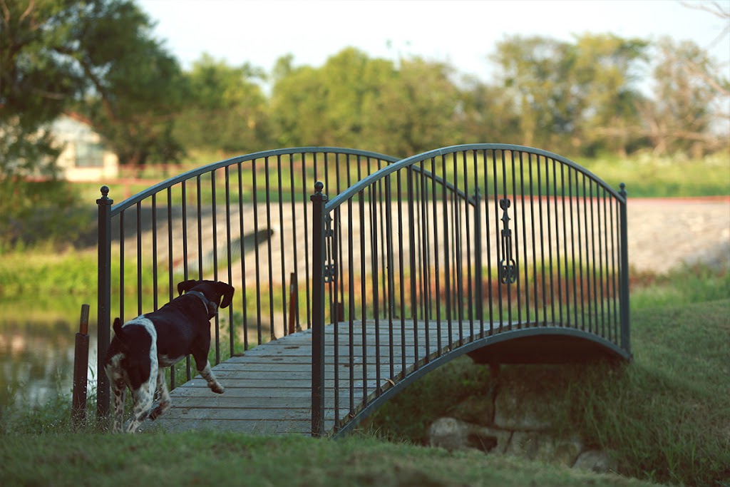 Burning Tree Ranch | 2837 Co Rd 101, Kaufman, TX 75142 | Phone: (877) 389-0500