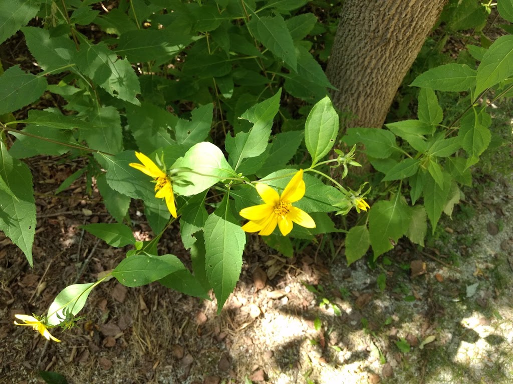 Vanderhoof Road Trailhead | 2445 Vanderhoof Rd, New Franklin, OH 44203, USA | Phone: (330) 255-8178