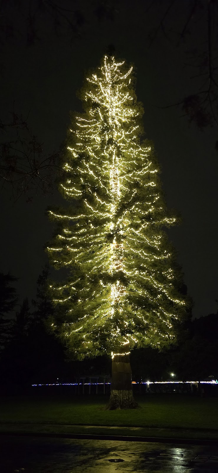 Meyer Park | 38225 Glenmoor Dr, Fremont, CA 94536, USA | Phone: (510) 797-7600