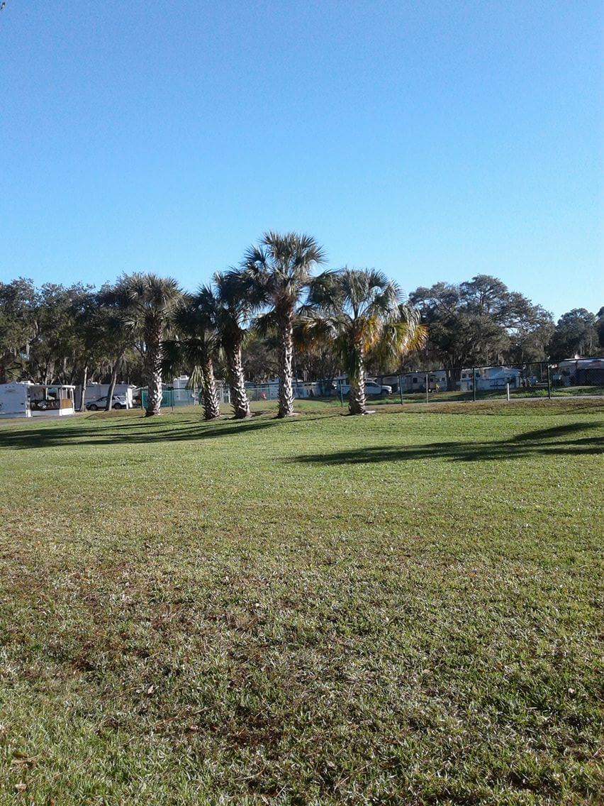 Tampa East RV Resort | 12720 E Hillsborough Ave, Seffner, FL 33584, USA | Phone: (866) 786-6298