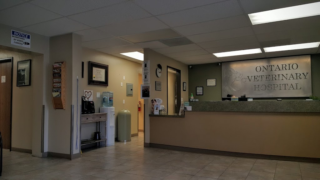 Ontario Veterinary Hospital | 121 East E Street, Ontario, CA 91764, USA | Phone: (909) 984-2211