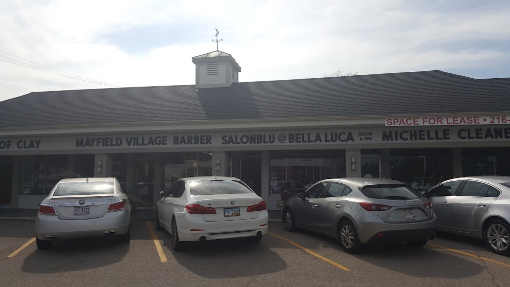 Salon Bella Luca | 824 Som Center Rd, Mayfield Village, OH 44143, USA | Phone: (440) 449-4848