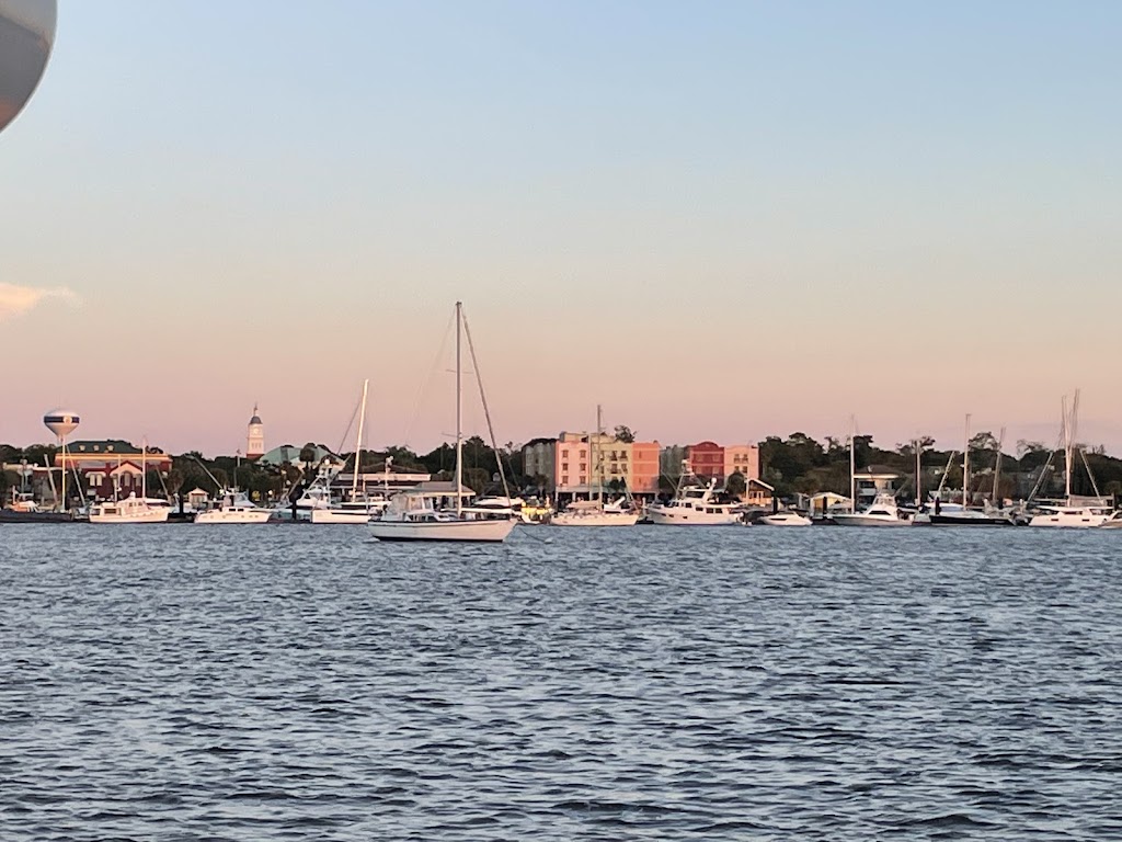 Amelia Island Charters | 1 South Front Street Dock E, Slip 8, Fernandina Beach, FL 32034, USA | Phone: (904) 335-1162