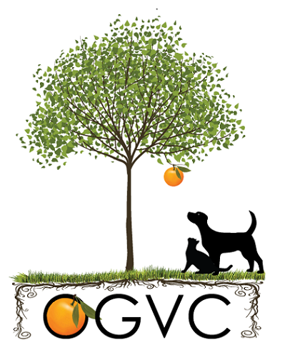 Orange Grove Veterinary Clinic | 105 N Dibrell St, Orange Grove, TX 78372 | Phone: (361) 382-2990