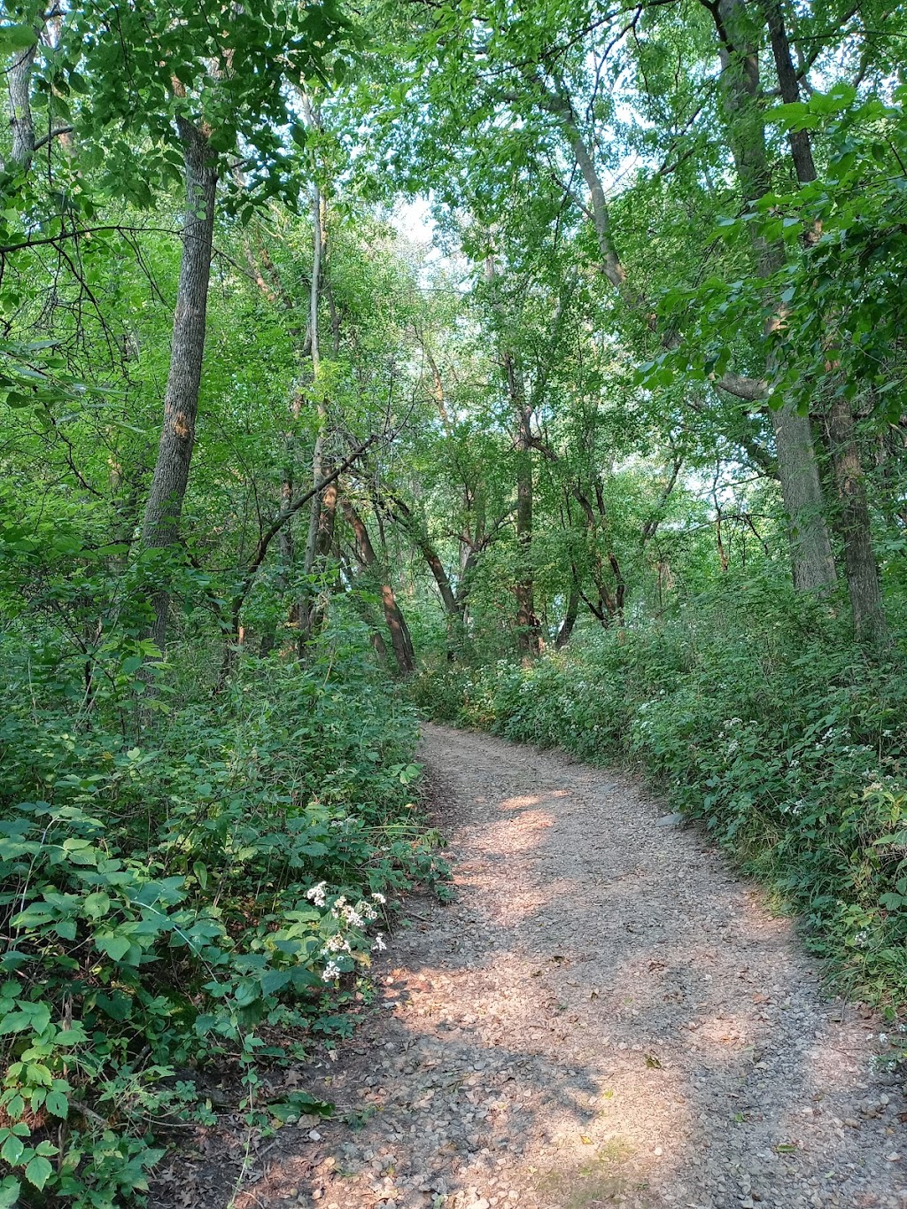 Dodge Nature Center Preschool | 1715 Charlton St, West St Paul, MN 55118, USA | Phone: (651) 455-4555