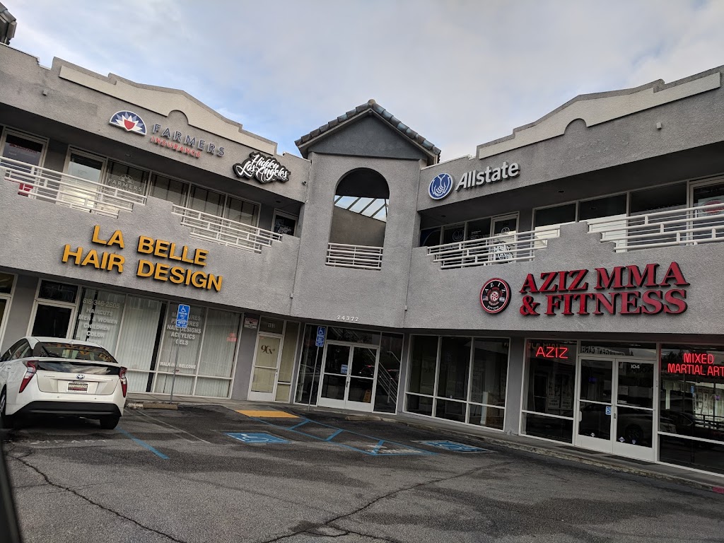 Aziz Mixed Martial Arts Inc | 24372 Vanowen St, West Hills, CA 91307, USA | Phone: (818) 702-6822