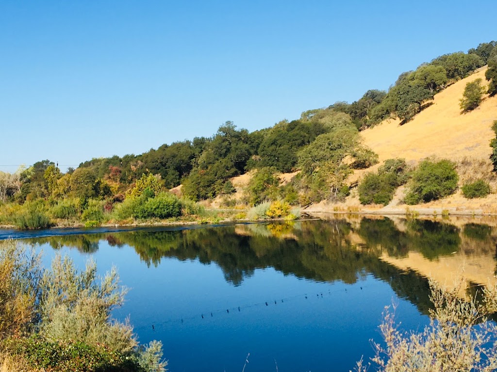 Nimbus Fish Hatchery | 2101 Nimbus Rd, Gold River, CA 95670, USA | Phone: (916) 358-2865