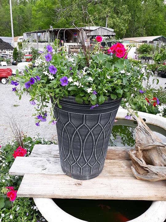 Pleasant View Nursery And Florist - True Local | 7070 US-41 ALT, Pleasant View, TN 37146, USA | Phone: (615) 247-8527