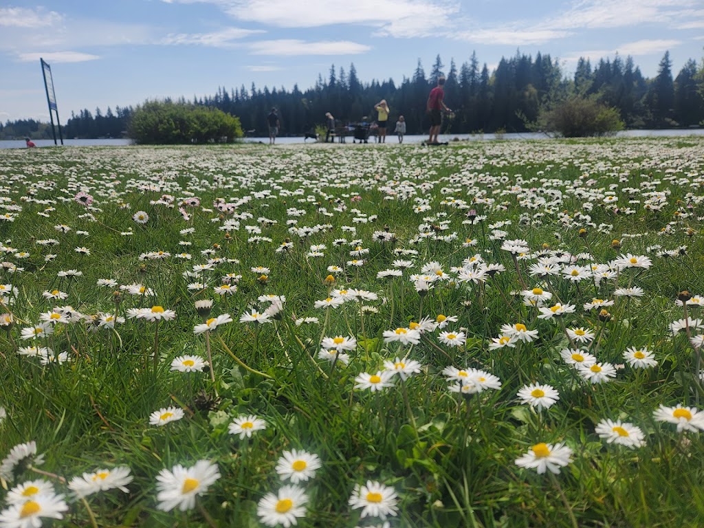 Flowing Lake County Park and Campground | 17900 48th St SE, Snohomish, WA 98290, USA | Phone: (360) 568-2274