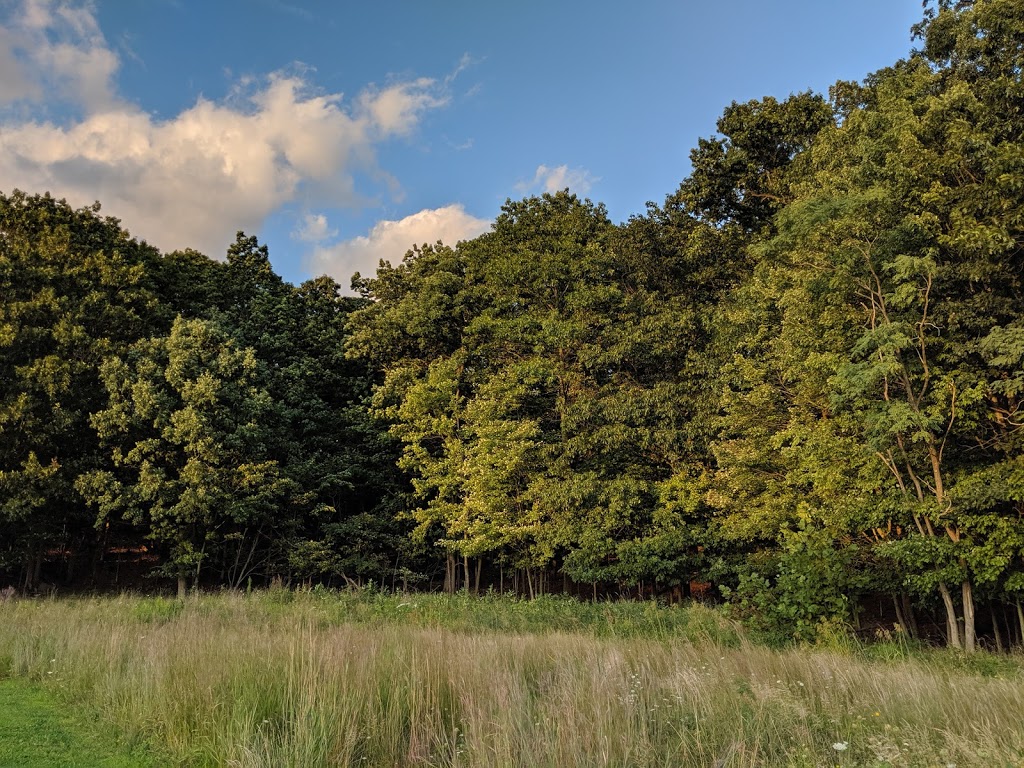 West Creek Reservation | 2277 W Ridgewood Dr, Parma, OH 44134, USA | Phone: (440) 887-1968