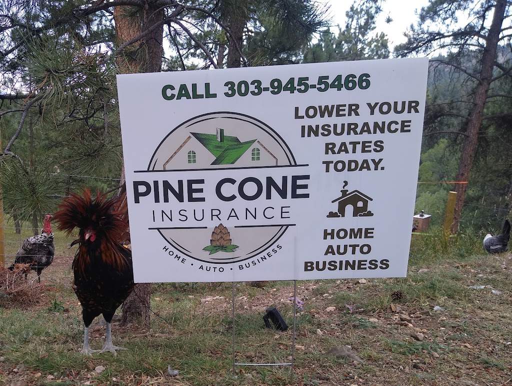 Pine Cone Insurance, Evergreen | 7324 S Heiter Hill Dr, Evergreen, CO 80439, USA | Phone: (303) 945-5466