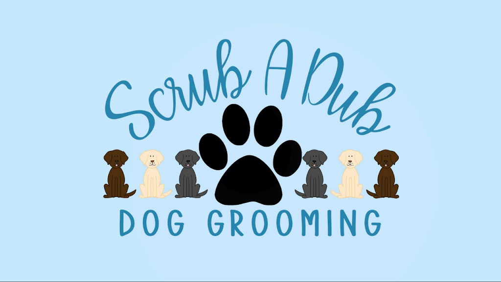 ScrubADub Dog Grooming | 1229 Central Ave, Colonie, NY 12205, USA | Phone: (518) 698-5117