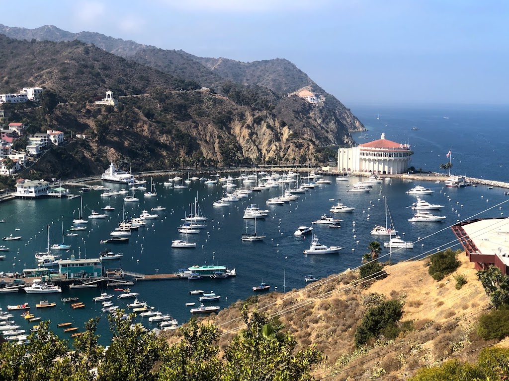 Catalina Island Golf Cart Rental | 625 Crescent Ave, Avalon, CA 90704, USA | Phone: (310) 510-0369