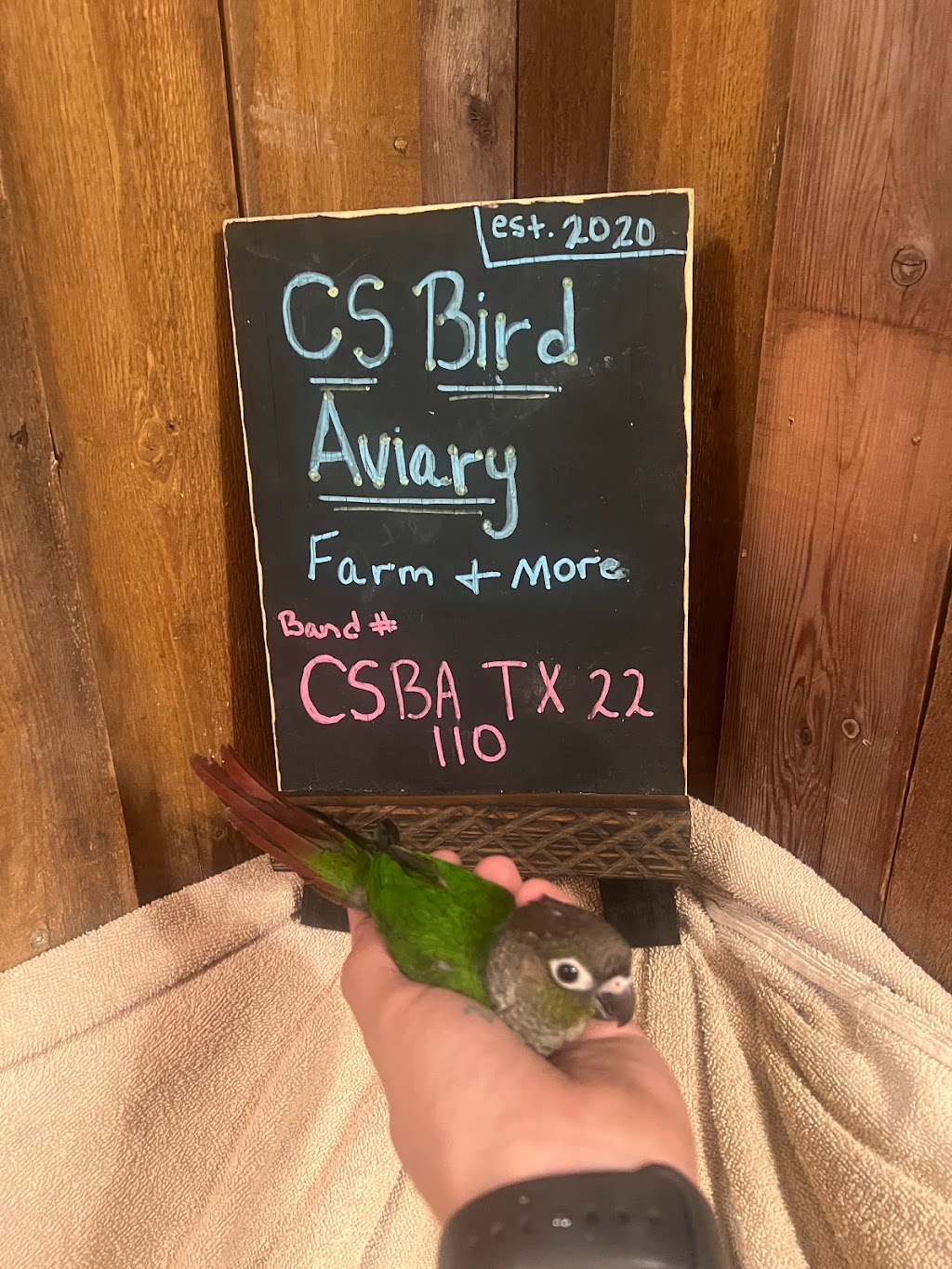 CS Bird Aviary Farm & More | 7850 Huber Rd, Seguin, TX 78155 | Phone: (210) 504-6403