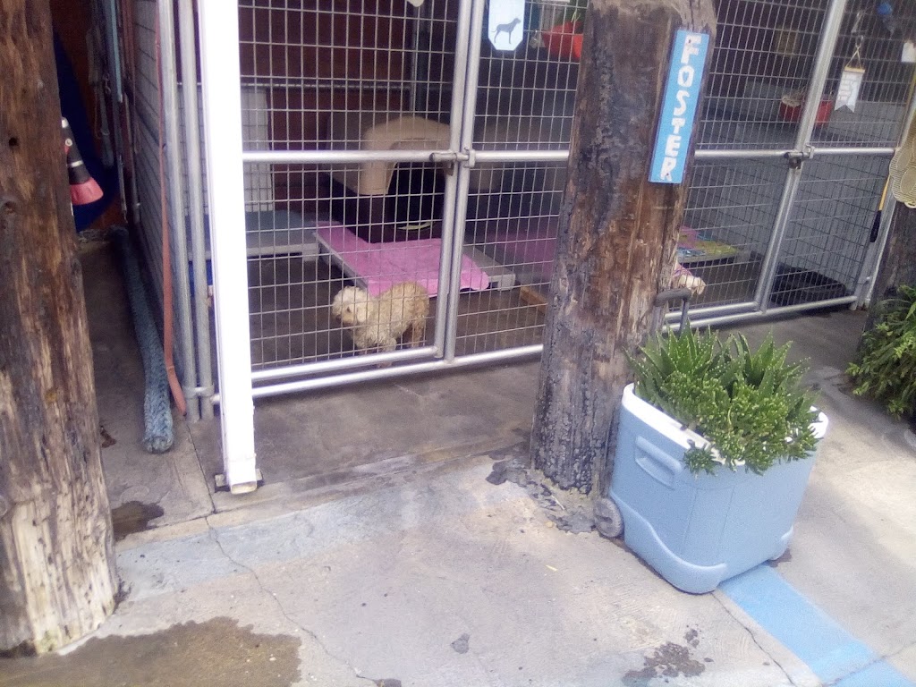 Creative Pet Supply | 305 N Harbor Blvd, San Pedro, CA 90731, USA | Phone: (310) 832-9929