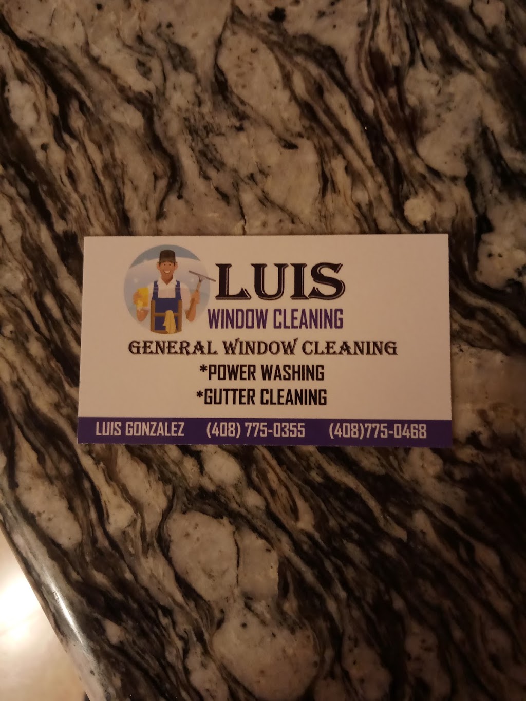 Luis Landscaping Maintenace | 1399 Tami Lee Dr, San Jose, CA 95122, USA | Phone: (408) 775-0355