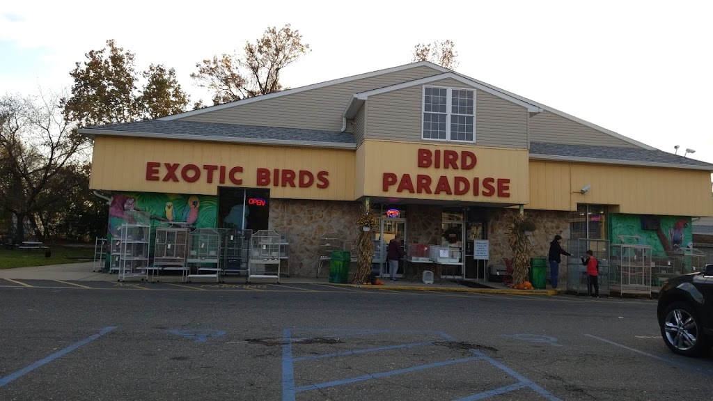 My Bird Store | 551 US-130, Burlington, NJ 08016, USA | Phone: (800) 650-7387