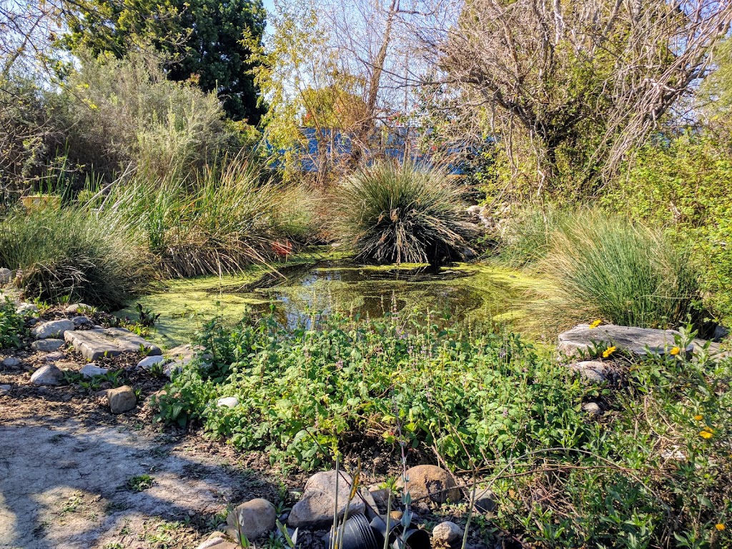 Irvine Valley College BEES Garden | 5500 Irvine Center Dr, Irvine, CA 92618, USA | Phone: (949) 451-5100