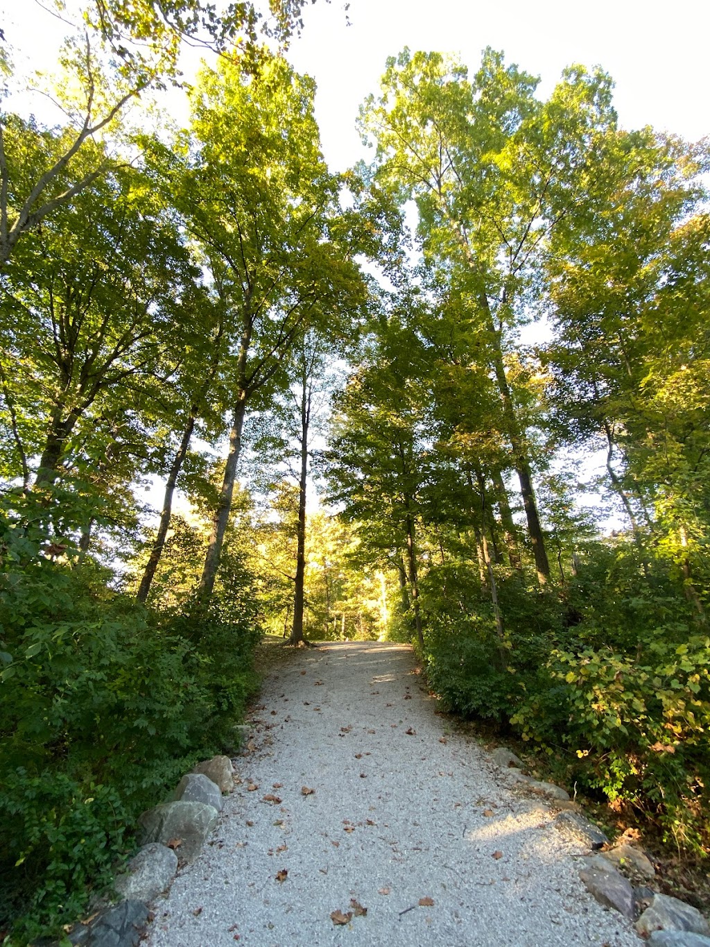Veterans Park | 8531 Forest Rd, Cincinnati, OH 45255, USA | Phone: (513) 474-0003