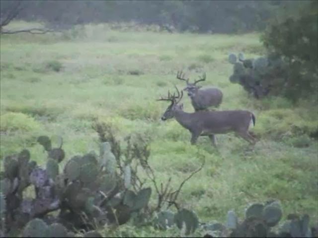 La Leyenda Ranch | Miles Rd, Tilden, TX 78072, USA | Phone: (713) 202-5348