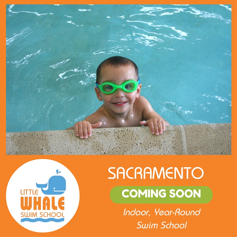 Little Whale Swim School | 4106 El Camino Ave, Sacramento, CA 95864, USA | Phone: (916) 883-1150