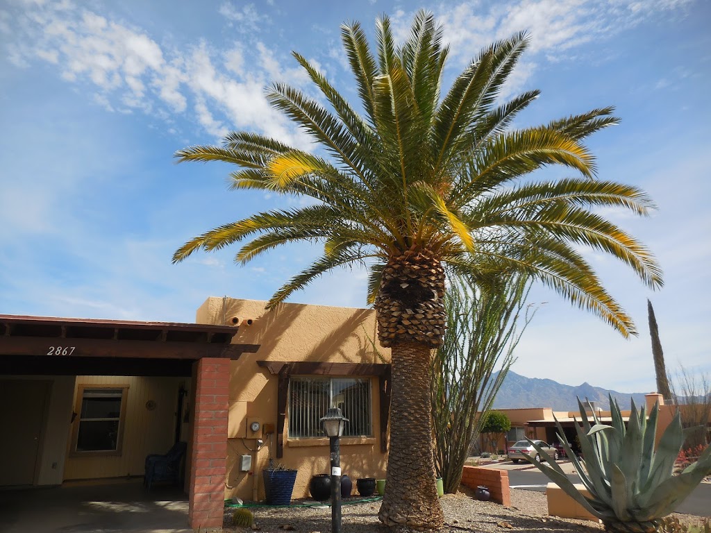 Green Valley Escapes | 700 W Vista Hermosa Dr #2048, Green Valley, AZ 85614, USA | Phone: (503) 789-8456