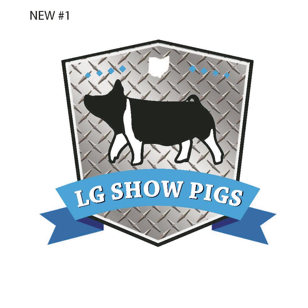 LG Show Pigs | 5279 Springboro Rd, Lebanon, OH 45036, USA | Phone: (513) 713-6533