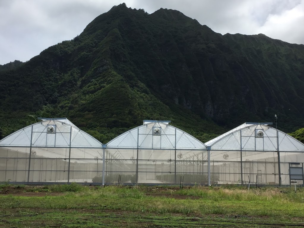 Island Grower Supplies LLC | 41-1141 Waikupanaha St, Waimanalo, HI 96795, USA | Phone: (808) 259-8420