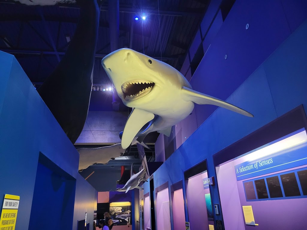 Virginia Aquarium & Marine Science Center | 717 General Booth Blvd, Virginia Beach, VA 23451, USA | Phone: (757) 385-3474