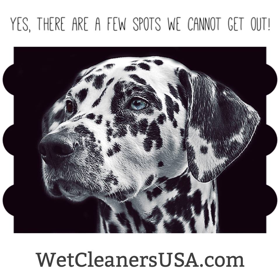4U Cleaners & Alteration | 3130 Loyola Dr STE 1, Kenner, LA 70065, USA | Phone: (504) 469-2002