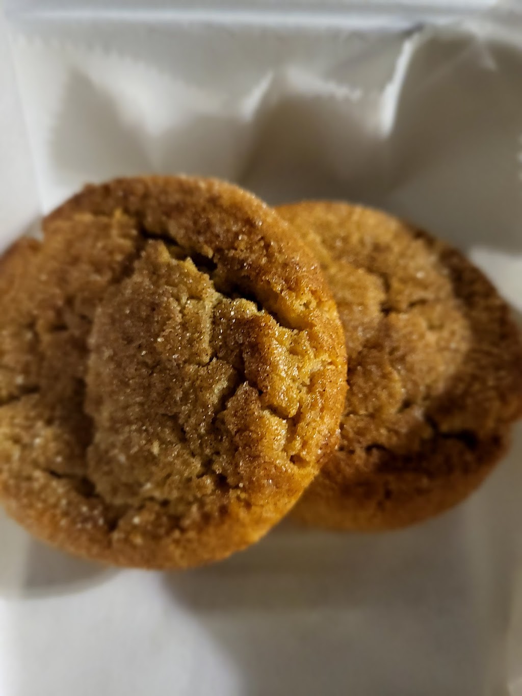 Nocturnal Cookies | 5 Clinton Square, Albany, NY 12207, USA | Phone: (518) 380-6790