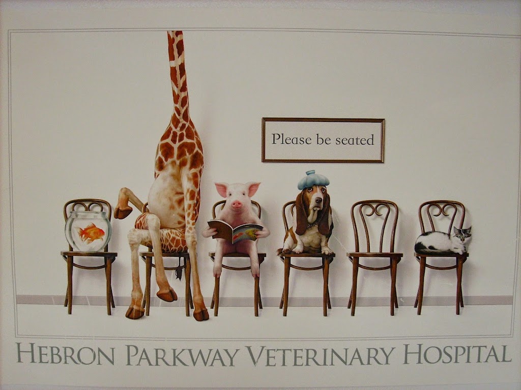 Hebron Parkway Veterinary Hospital | 1012 W Hebron Pkwy # 136, Carrollton, TX 75010, USA | Phone: (972) 492-3709