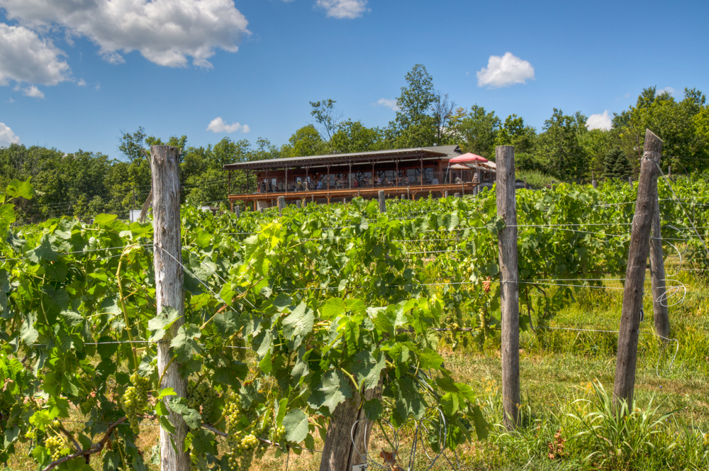 Robibero Winery | 714 Albany Post Rd, New Paltz, NY 12561, USA | Phone: (845) 255-9463