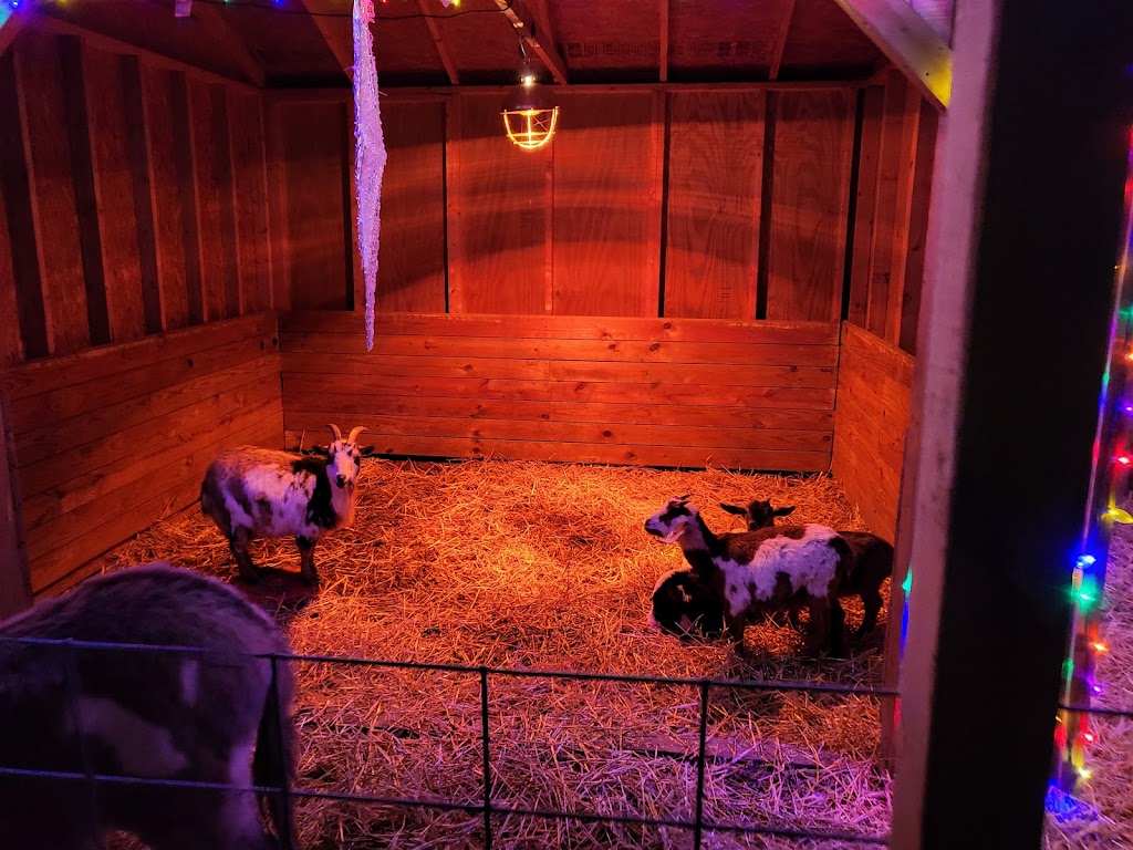 Ogden Softball Park | 12730 Liming Van Thompson Rd, Mt Orab, OH 45154, USA | Phone: (937) 444-2274