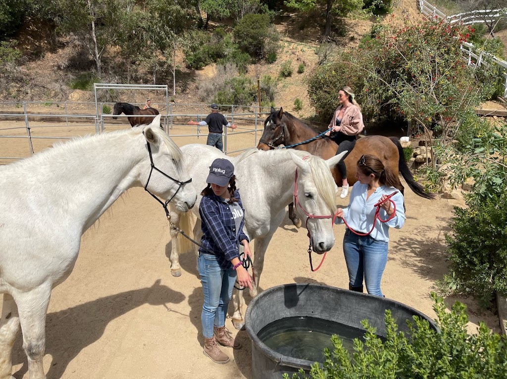 Equine Leadership Program | Hawks Nest Trail, Topanga, CA 90290 | Phone: (310) 980-9697