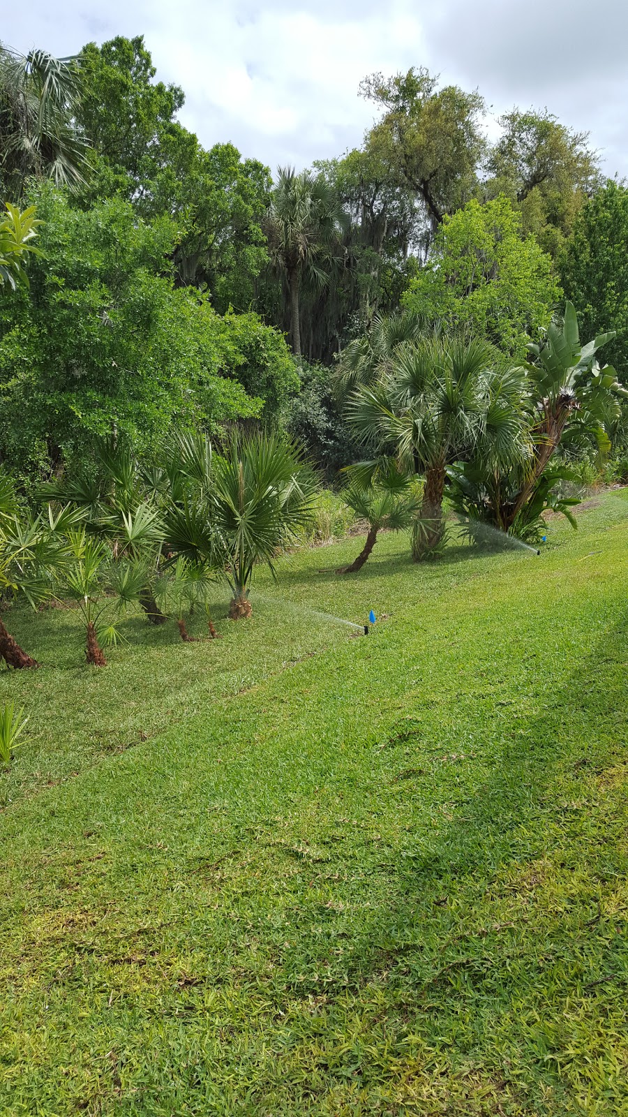 Lawn Pros Irrigation & Landscape Inc. | 900 Catfish Rd, Osteen, FL 32764 | Phone: (386) 255-0658