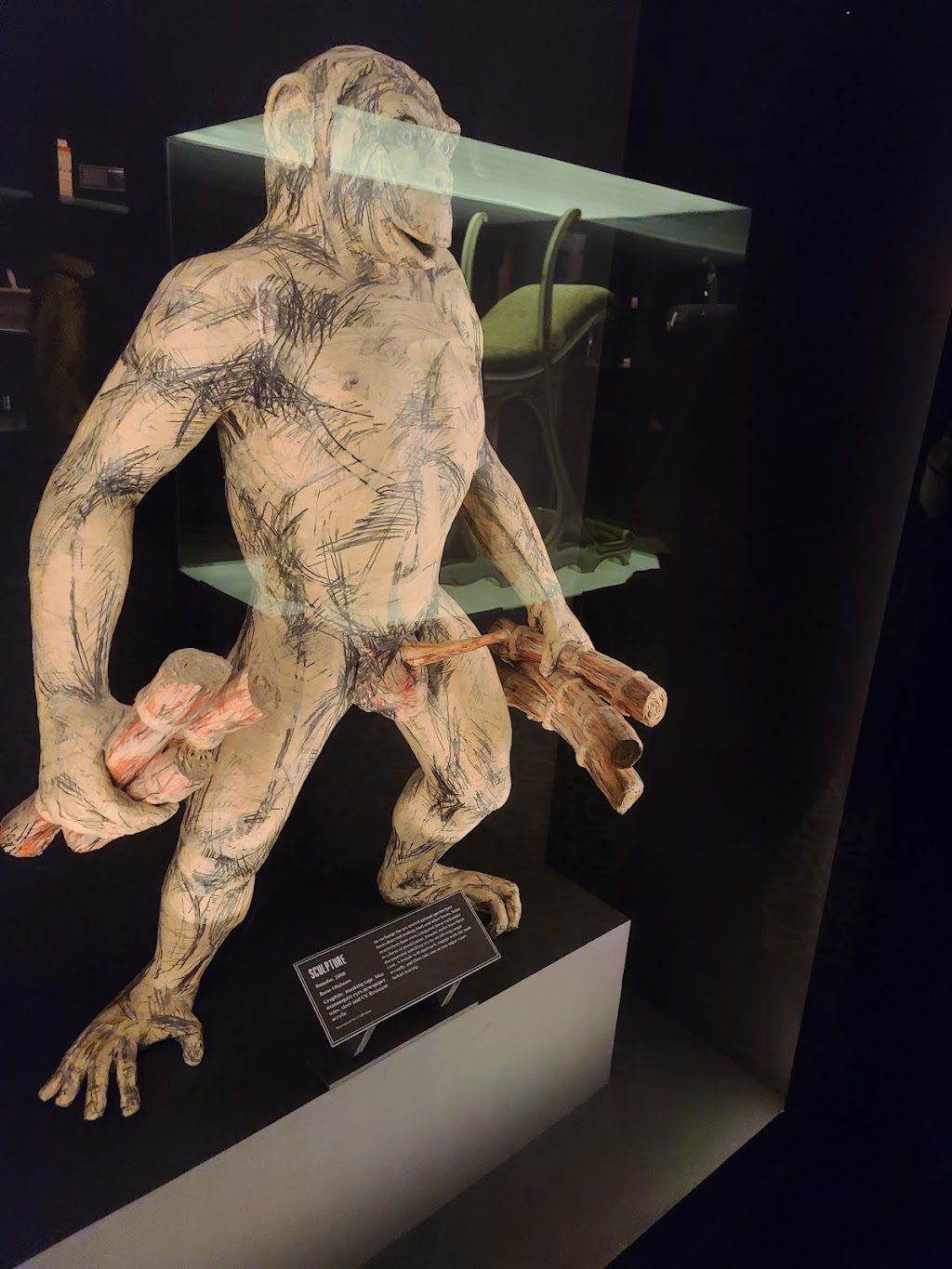 Museum of Sex | 233 5th Ave, New York, NY 10016, USA | Phone: (212) 689-6337