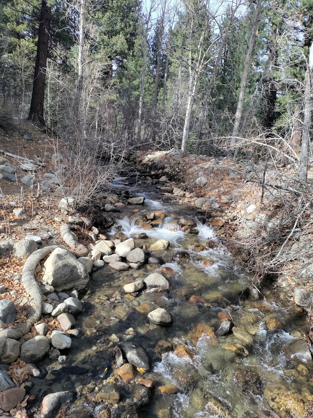 Galena Creek Bridge | 18350 Mt Rose Hwy, Reno, NV 89511, USA | Phone: (775) 849-2511