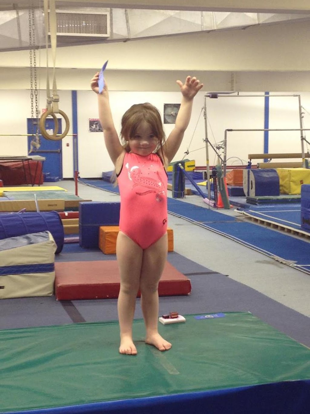 World Class Gymnastics Academy | 630 Columbia St Ext # 1, Latham, NY 12110 | Phone: (518) 785-3481