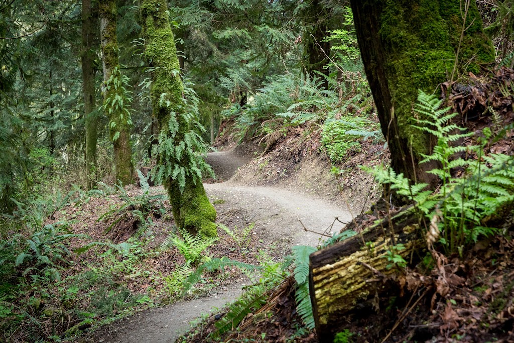 Evans Creek Preserve | 4001 224th Ave NE, Redmond, WA 98053, USA | Phone: (425) 295-0553