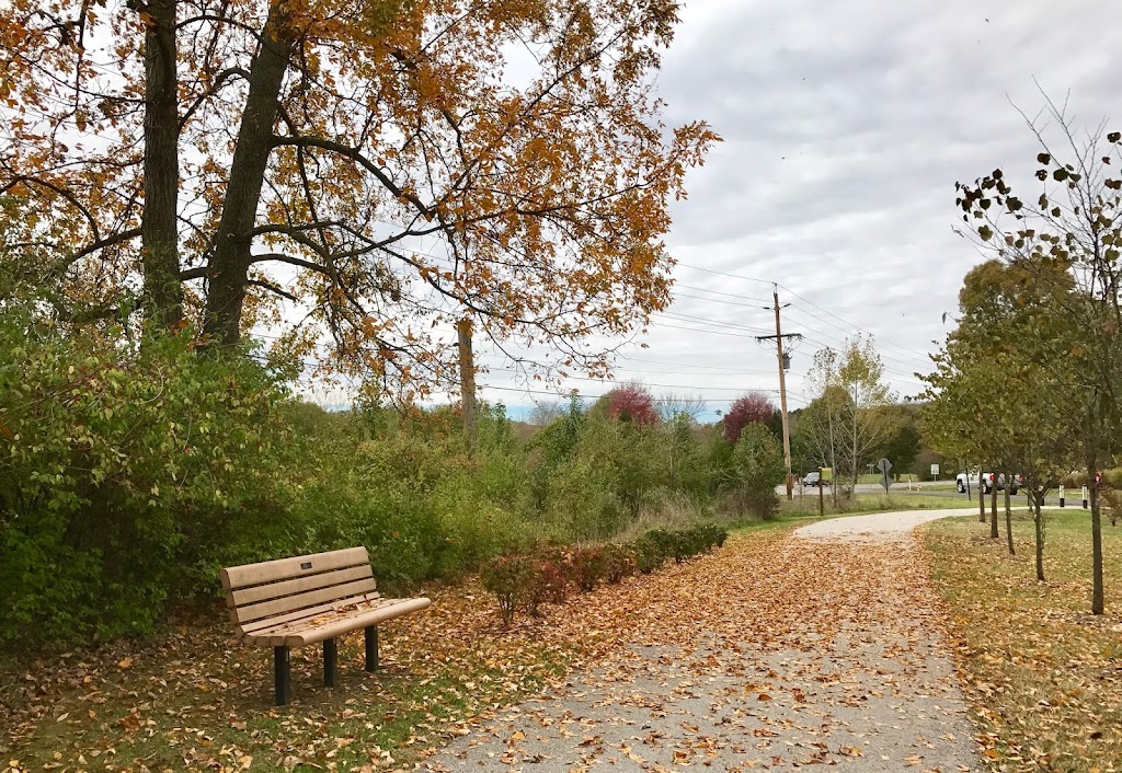 Western Greenway: Hamilton-Carr Trail | Unnamed Road 63038, Glencoe, MO 63038, USA | Phone: (636) 458-0440