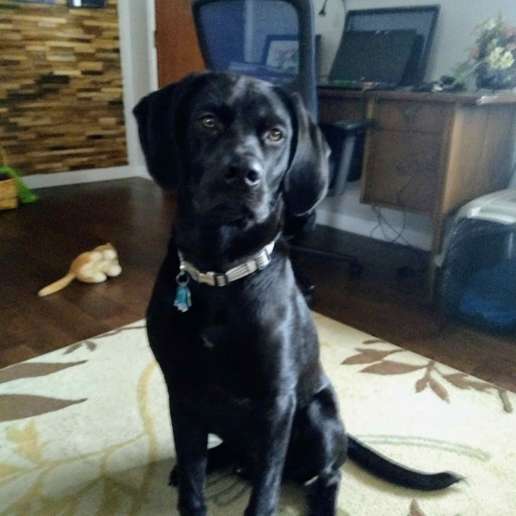 Jeff Owens, powered by Patton Hall Real Estate | 2132 E Center St, Warsaw, IN 46580, USA | Phone: (574) 527-1387